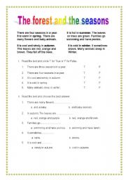 English Worksheet: Reading Comprehension