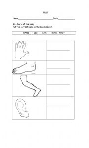 English worksheet: part of the body