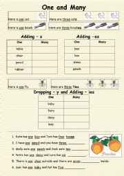 English Worksheet: One and Many