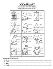 English Worksheet: vocabulary