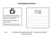 English worksheet: endangered animals