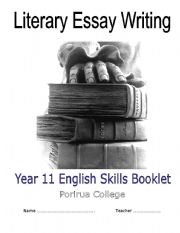 English Worksheet: Literary essay writing exercises based on 