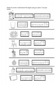 English worksheet: Uses of Senses