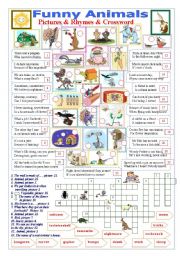 English Worksheet: Funny Animals