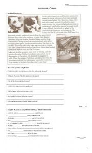 English Worksheet: test - sky 2