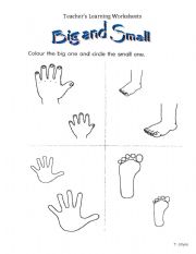 English Worksheet: Big and small