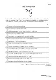 English Worksheet: Fact or Opinion