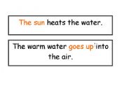 English worksheet: The water cycle sentences