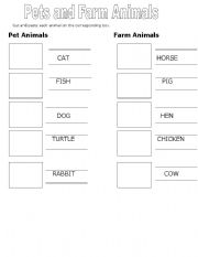 English worksheet: ANIMALS