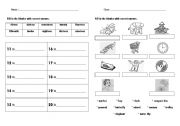 English Worksheet: numbers