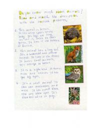 English worksheet: Do you know much about animals? Lets check!