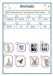 English worksheet: animals