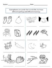 English worksheet: Homophones