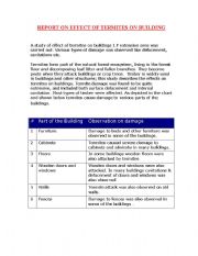 English Worksheet: Effect of Termites - Project Report