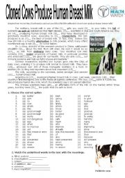English Worksheet: Cloned Cows Priduce Breast Milk 