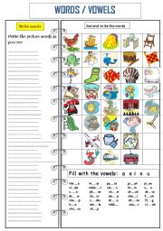 English Worksheet: WORDS (Review )
