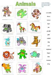 English Worksheet: Animals