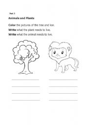 English Worksheet: Animal and plant