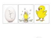 English Worksheet: Story telling chick