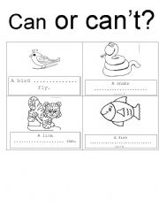 English Worksheet: Can or cant