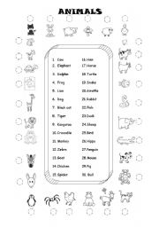 English Worksheet: Animals