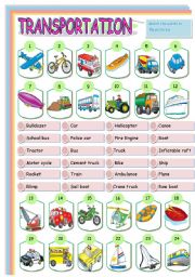 English Worksheet: Transportation