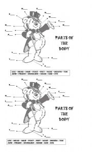 English Worksheet: Parts of the body