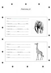 English Worksheet: Animals