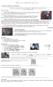 English Worksheet: Koko, an amazing gorilla
