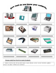 English Worksheet: How well do you know your computer?