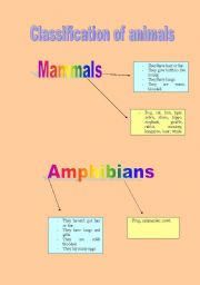 English worksheet: Classification of animals