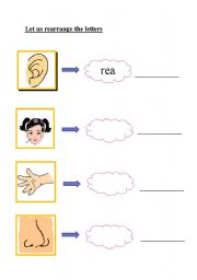 English Worksheet: Parts of Body