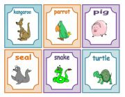 animal flashcards