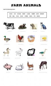 Farm animals