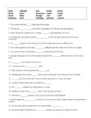 English Worksheet: Cloze Test