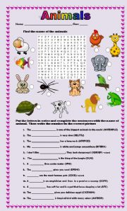 English Worksheet: ANIMALS