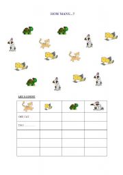 English Worksheet: how many