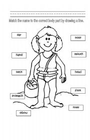 English Worksheet: Identifying Body Parts