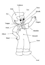 English Worksheet: body parts