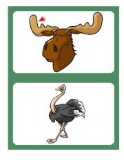 Flashcards - Animals 03/04