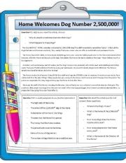 English Worksheet: Dont abandon your pets reading comprehension worksheet