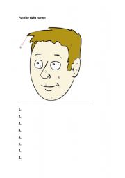 English worksheet: THE FACE