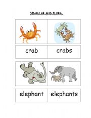 English Worksheet: Singular and Plural (Part 2 - cards 13 to 24)