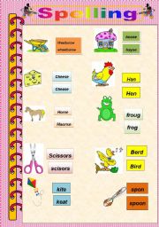 English Worksheet: spelling