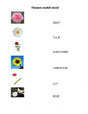 English worksheet: FLOWERS MATCH WORD