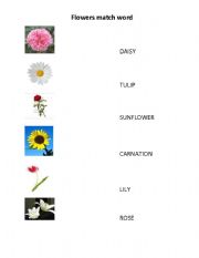 English Worksheet: FLOWERS MATCH WORD