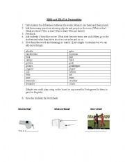 English Worksheet: This and That Soccer Vocabulary