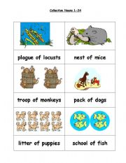 Collective nouns 1 to 24