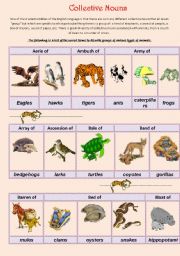 English Worksheet: Collective Nouns (animals) 1