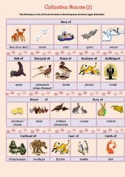 English Worksheet: Collective Nouns (animals) 2